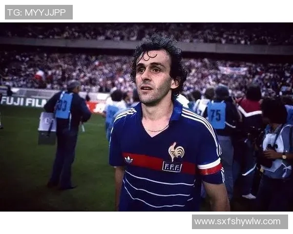 法国足球巨星的辉煌历程与成就解析