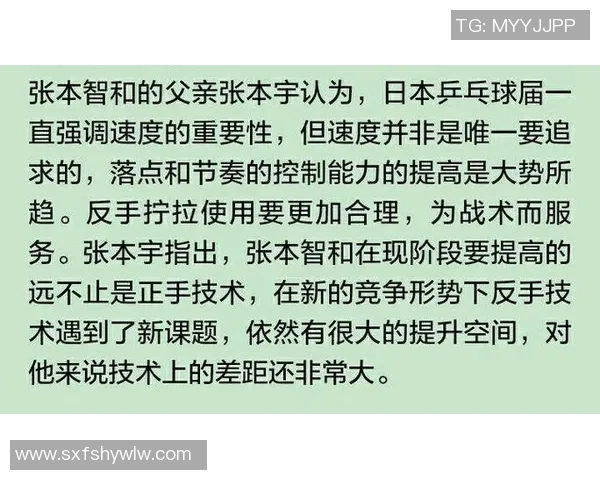 深圳乒乓球队的速度之旅：技术与战术的完美结合探讨